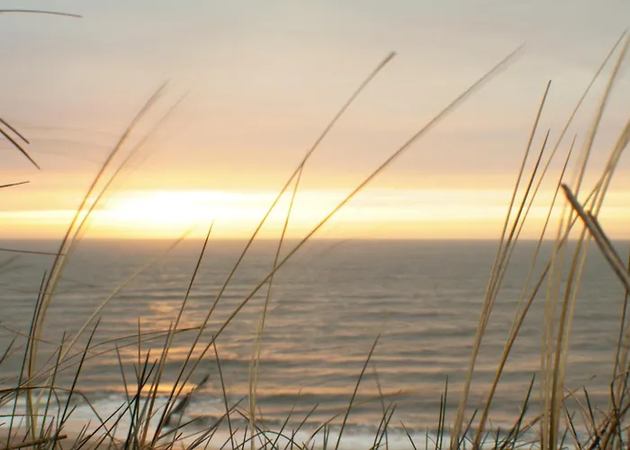 Appartement Abaco 3n *